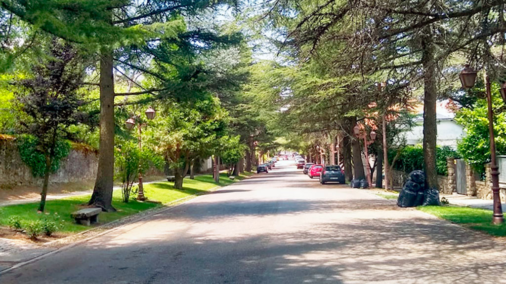 Imagen del Paseo Rivera, cortado al tráfico durante el periodo estival. / El Adelantado