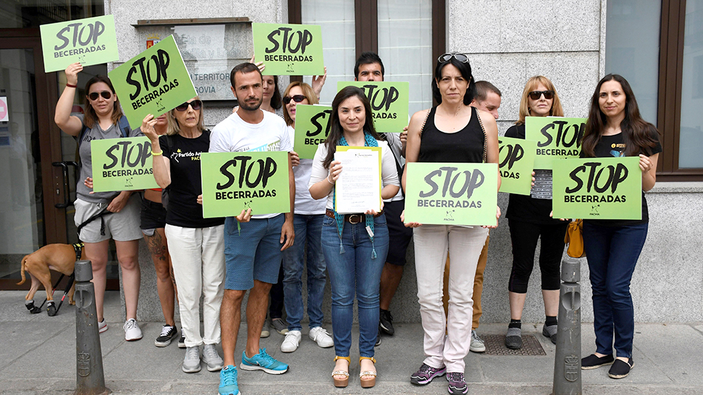 La portavoz del Partido Animalista Contra el Maltrato Animal (Pacma) Laura Duarte (c) durante la presentación esta mañana frente a la Delegación Territorial de la Junta de Castilla y León en Segovia de su campaña de acción y presión social contra las becerradas del municipio segoviano de El Espinar. EFE/Pablo Martín