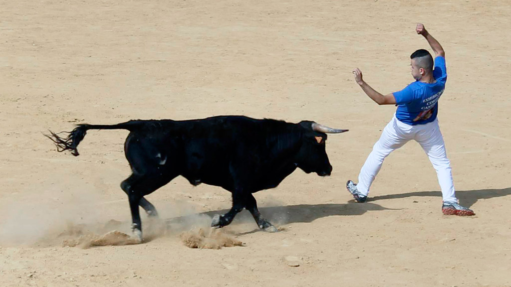 Un participante en un concurso de recortes celebrado en la plaza de toros de Cantalejo. / el adelantado