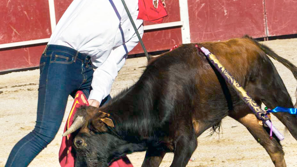 Imagen de archivo de una de las becerradas celebrada en ediciones anteriores. / el adelantado