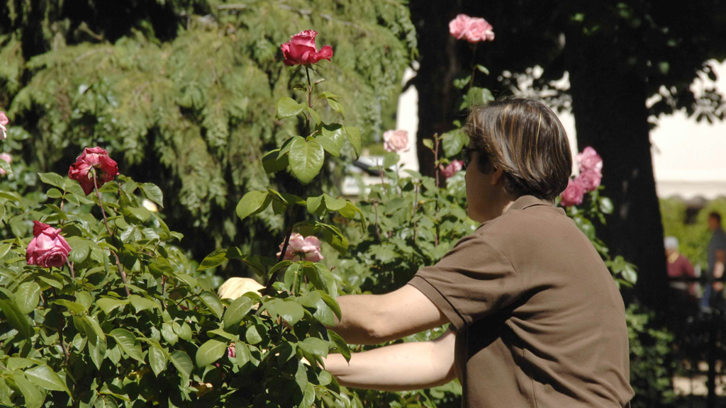 Cuatro de los contratos son para operarios jardineros que se destinarán a mejoras en parques y jardines del municipio. / J. M.