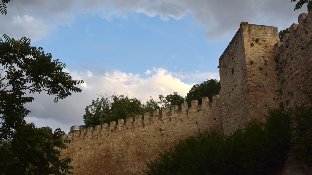 La abundante vegetación que en algunos puntos del tramo norte de la Muralla casi coloniza el monumento es un inconveniente para su conservación. / Rocío Pardos
