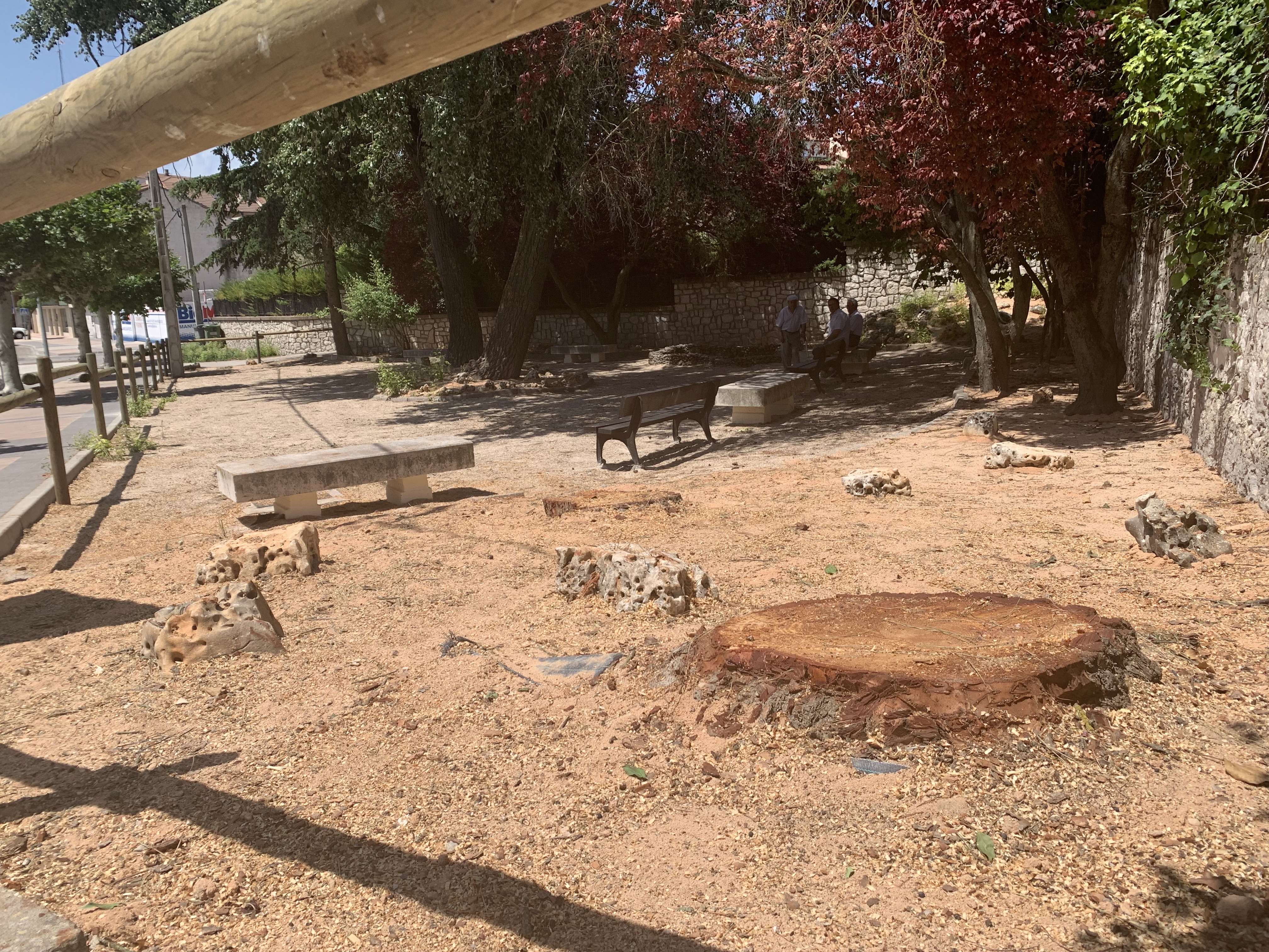 Tala controlada realizada ante el mal estado de los árboles de la zona./ c. n