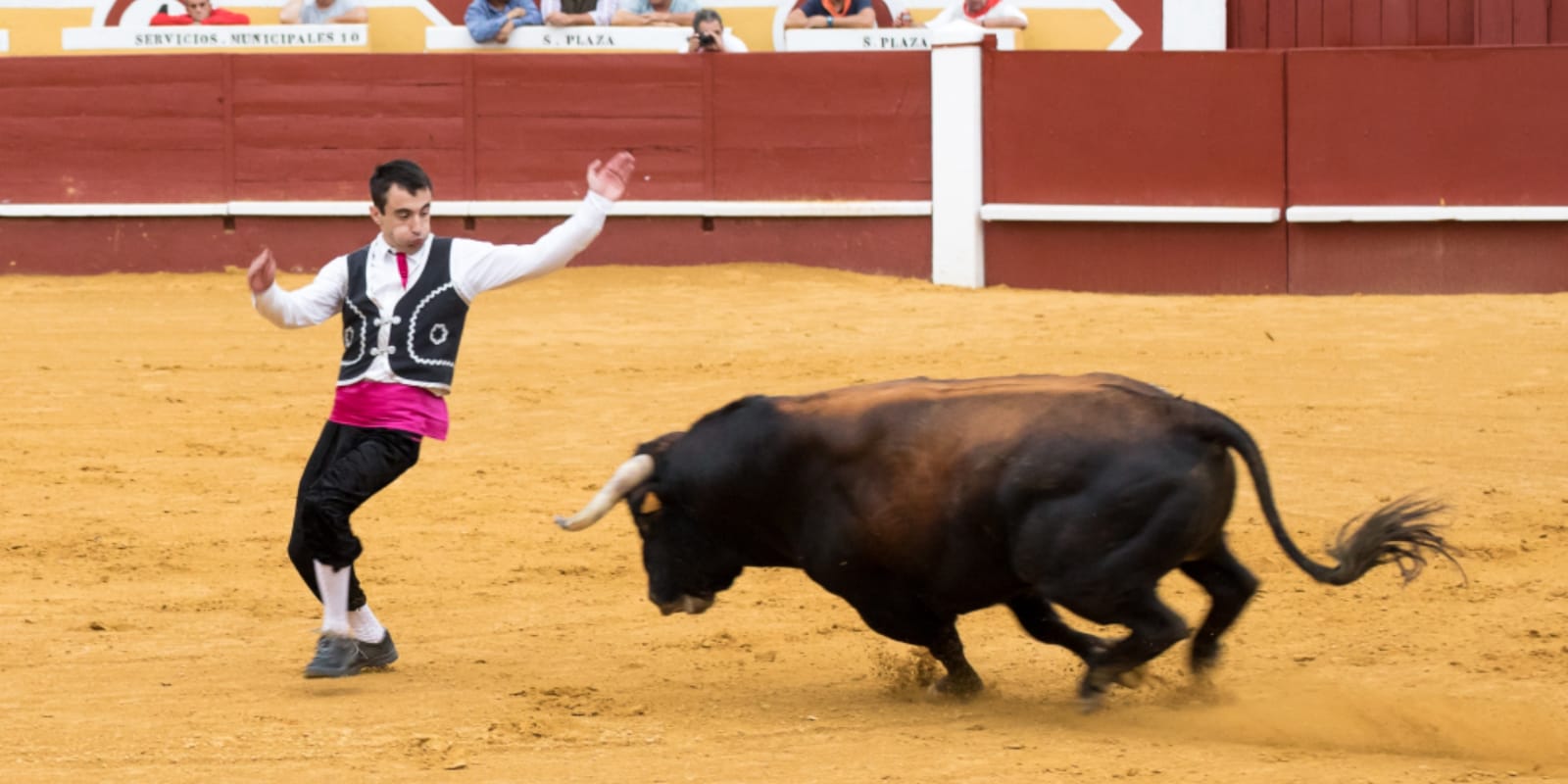 Albano Quintanilla cortando en el coso de Cuéllar./ el adelantado