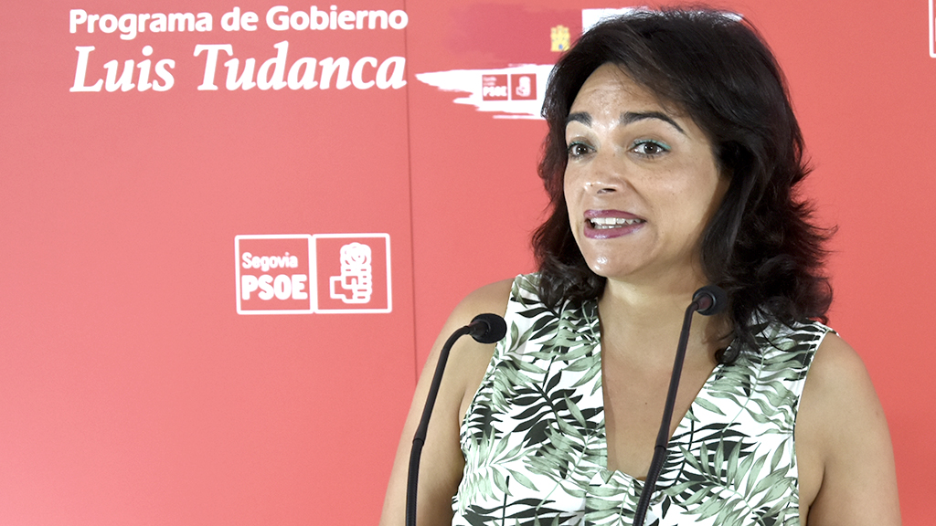 La procuradora socialista Alicia Palomo, portavoz de la ejecutiva provincial del PSOE en Segovia. / E. A.
