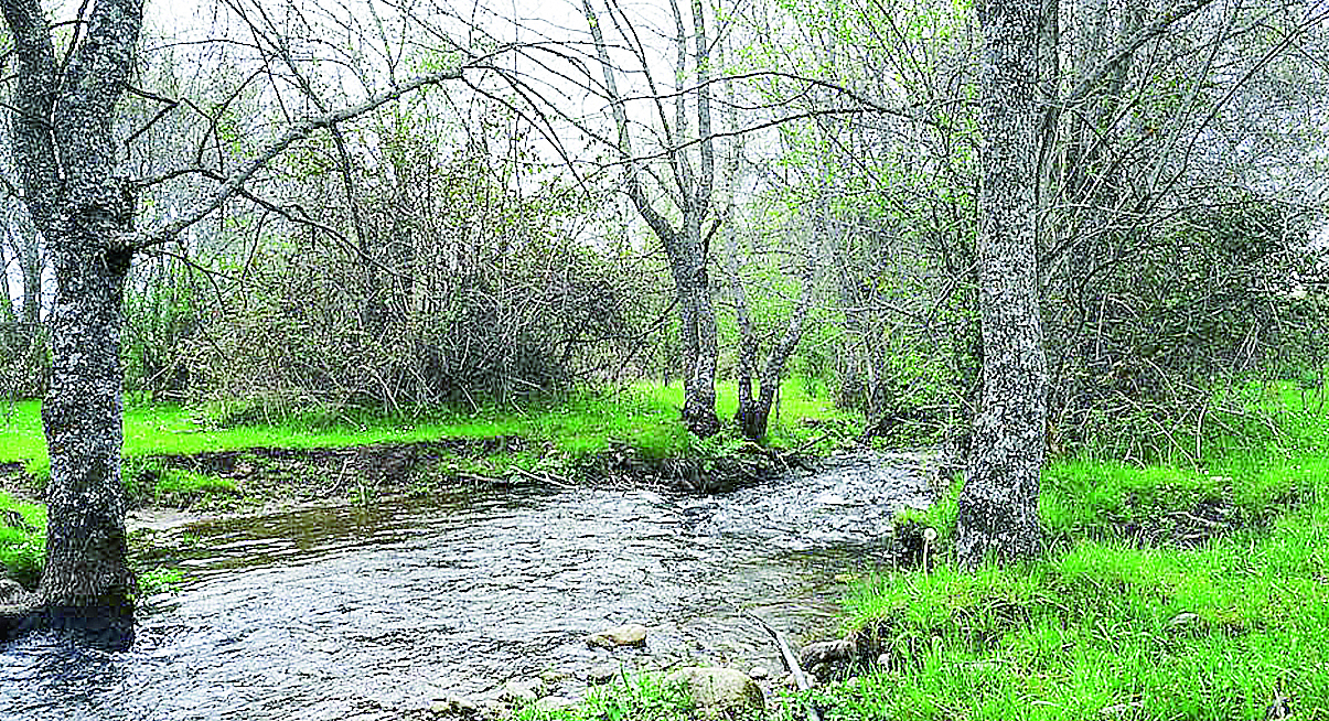 El arroyo de Sotosalbos donde se pretende implantar el proyecto de las autocaravanas. / El Adelantado
