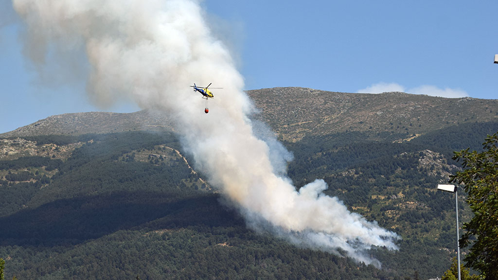 Imagen del incendio de La Granja. /ROCÍO PARDOS