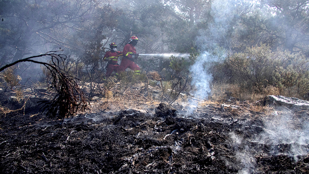 Las labores de extinción del incendio, controlado desde la tarde del miércoles, continúan con una dotación de la Junta, que indica que en algunos puntos la ceniza alcanza los 40 centímetros de espesor. / EFE