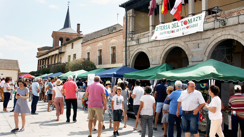 Los hortelanos de la zona expusieron sus mejores tomates en los puestos instalados en la Plaza Mayor. / el adelantado
