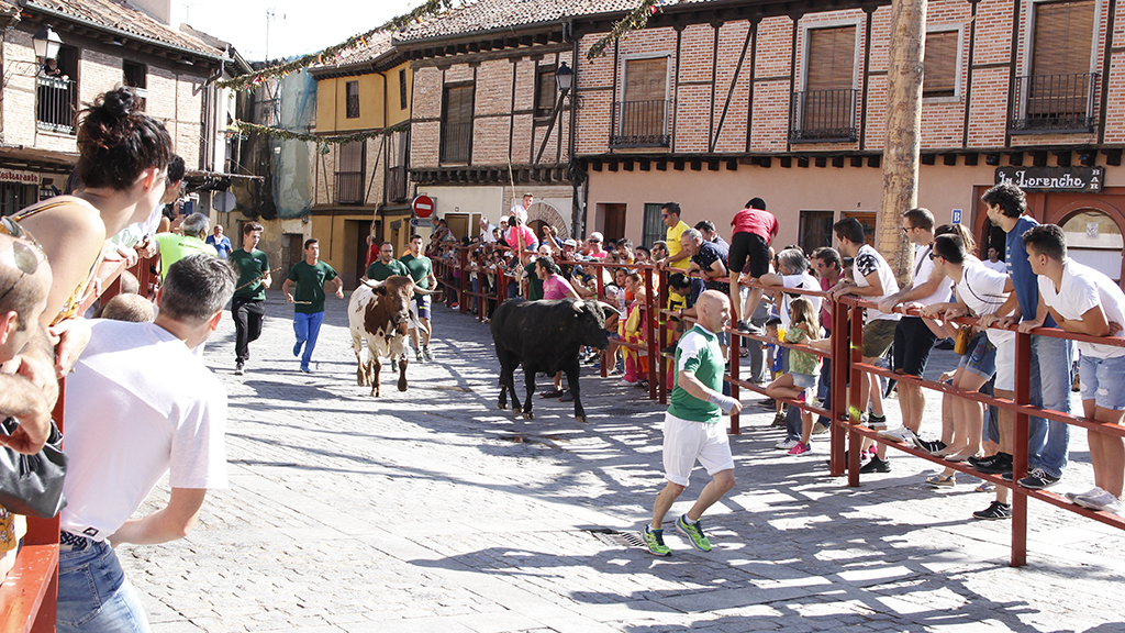 El único encierro que se ha celebrado por la mañana ha sido este de hoy domingo a las 11 horas. / Nerea Llorente