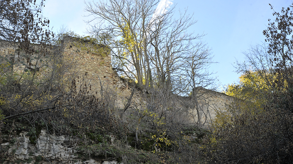 Tramo de la Muralla de Segovia en su zona Norte, con mucha vegetación que coloniza la piedra. / Kamarero