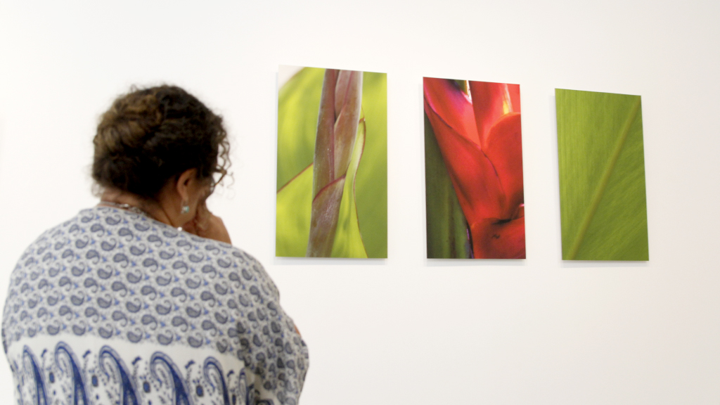 La muestra recoge diez fotografías que muestran las formas abstractas que esconden flores y vegetación. / Nerea Llorente