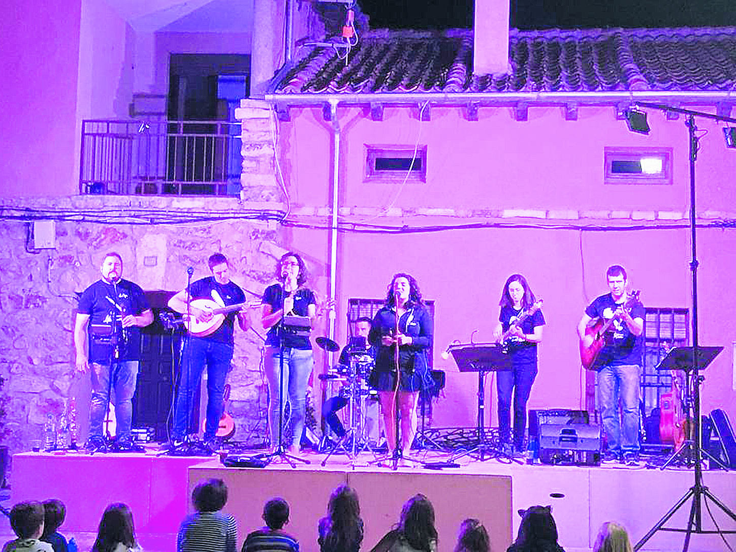 Los integrantes del grupo de música 'Ad Folkitum' dando un  concierto en el municipio de Navafría. / El Adelantado