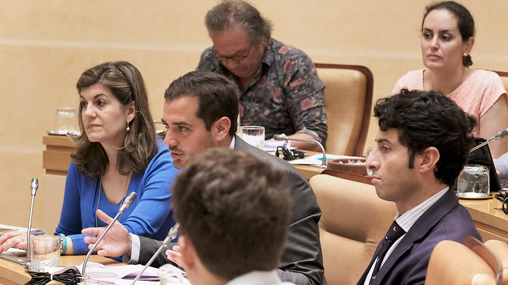 El portavoz del Partido Popular, Pablo Pérez, interviene durante una sesión plenaria. / Kamarero