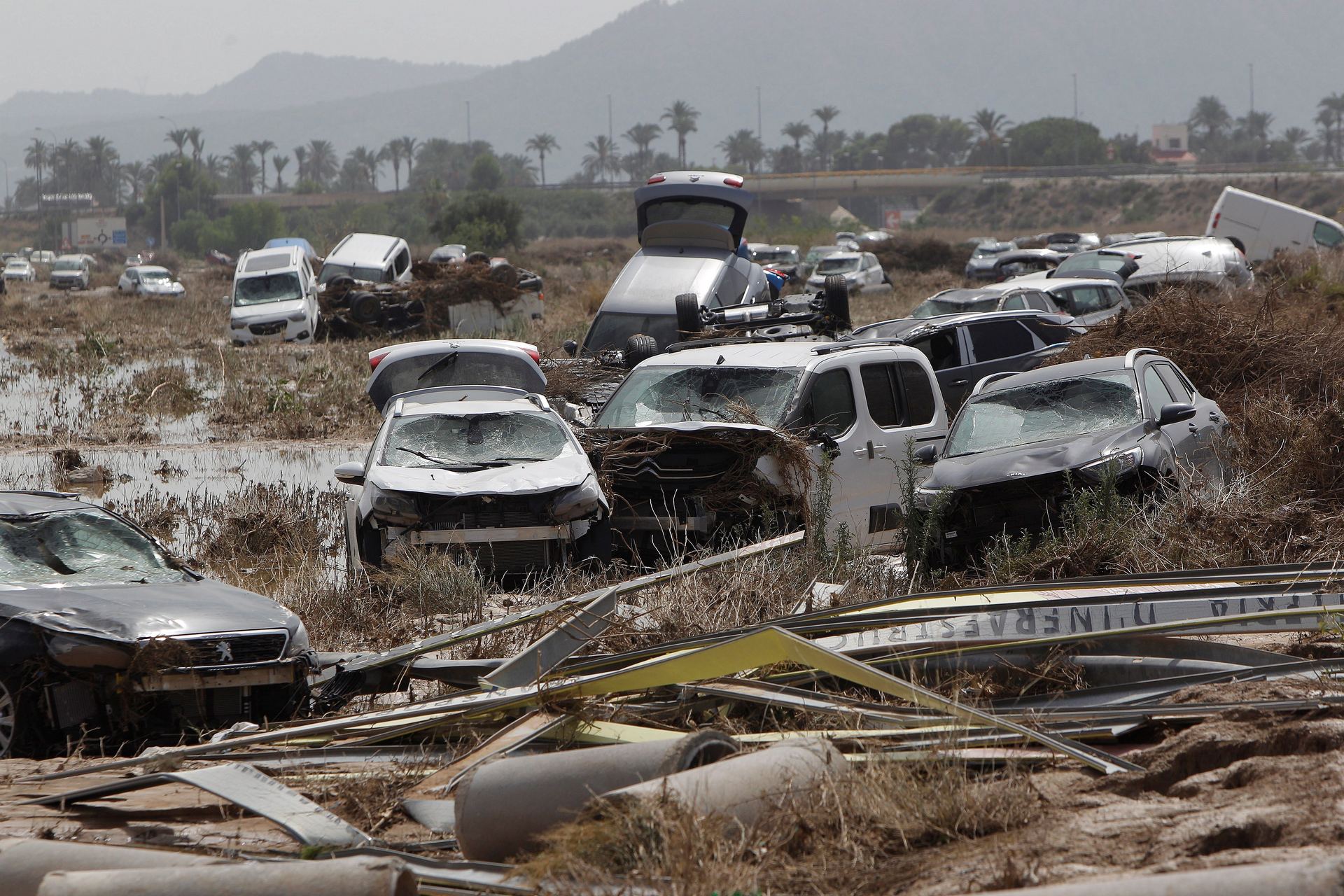Cientos de coches arrasados por el desbordamiento del Segura en Orihuela.
