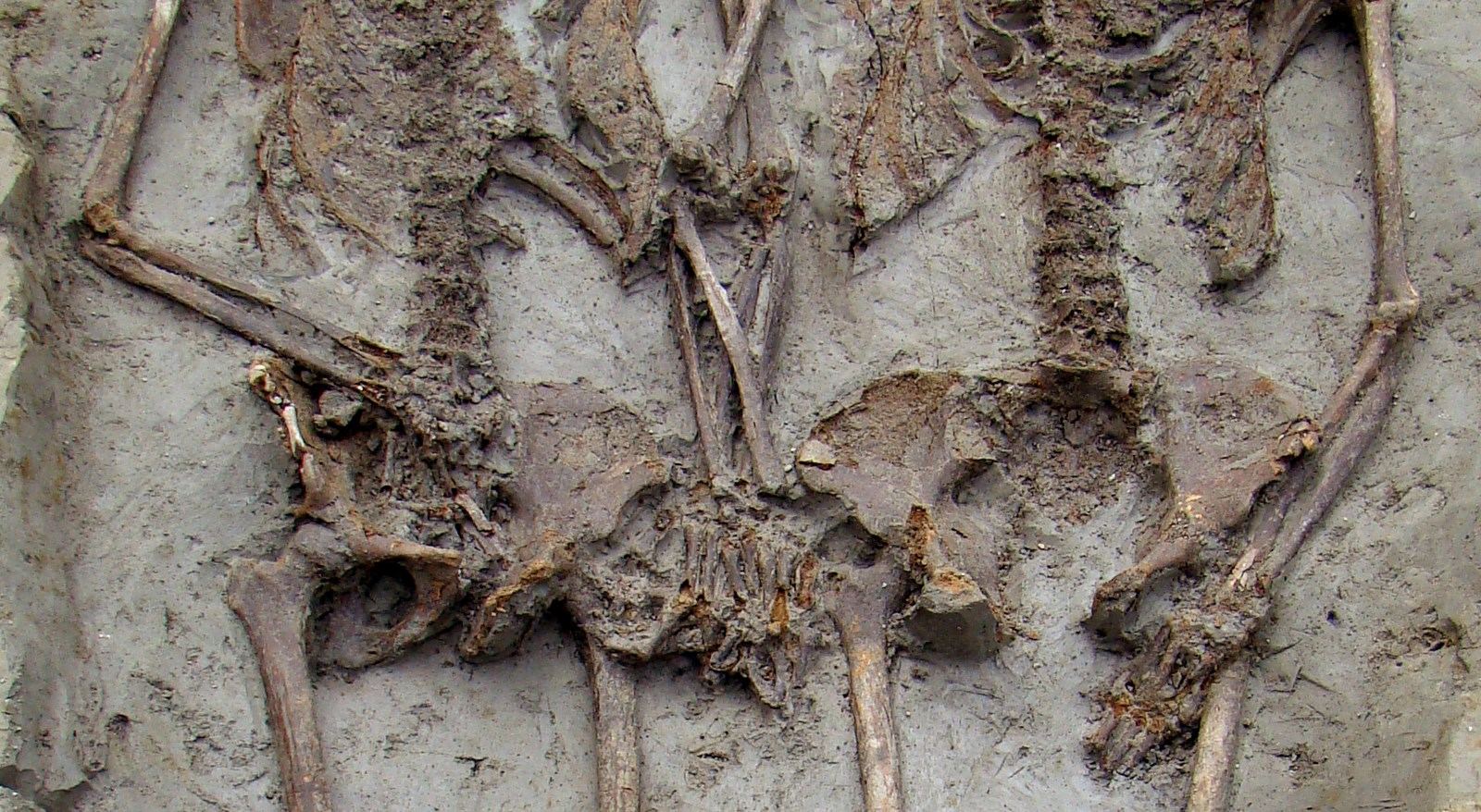 Los investigadores intentarán desvelar la razón por la que dos hombres de hace 1.500 años fueron enterrados juntos. / efe