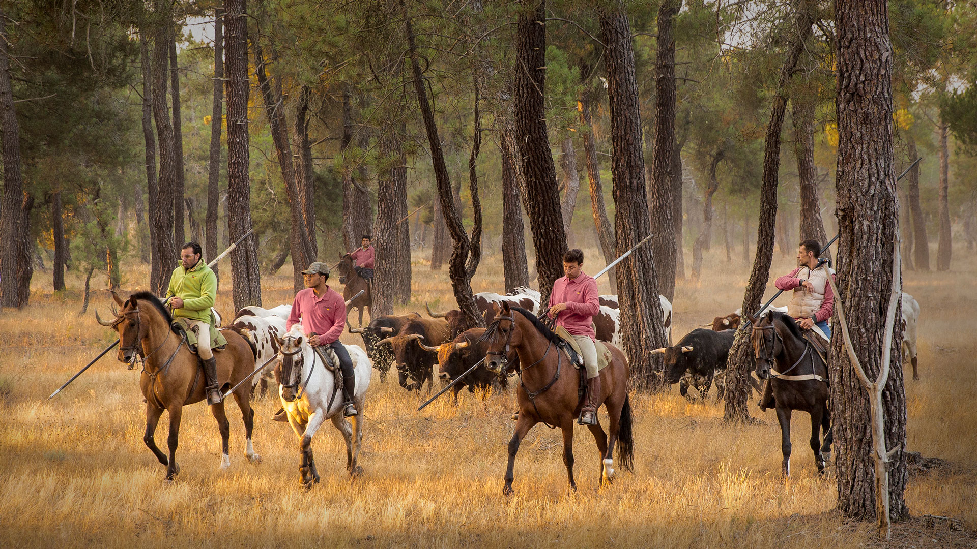 Fotografía ganadora de 2018. / luis marcos herguedas