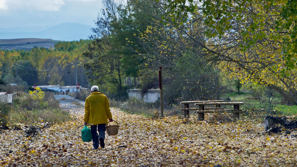 La vía verde ‘Valle del Eresma’ parte de Segovia capital y llega hasta Olmedo (Valladolid). / KAMARERO