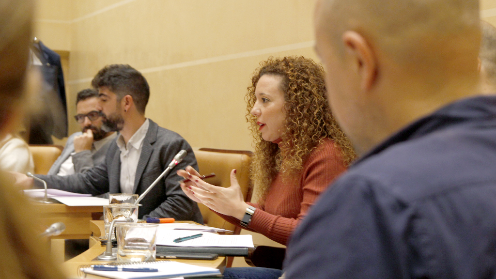 La portavoz de Cs, Noemí Otero, defiende la moción. / Nerea Llorente