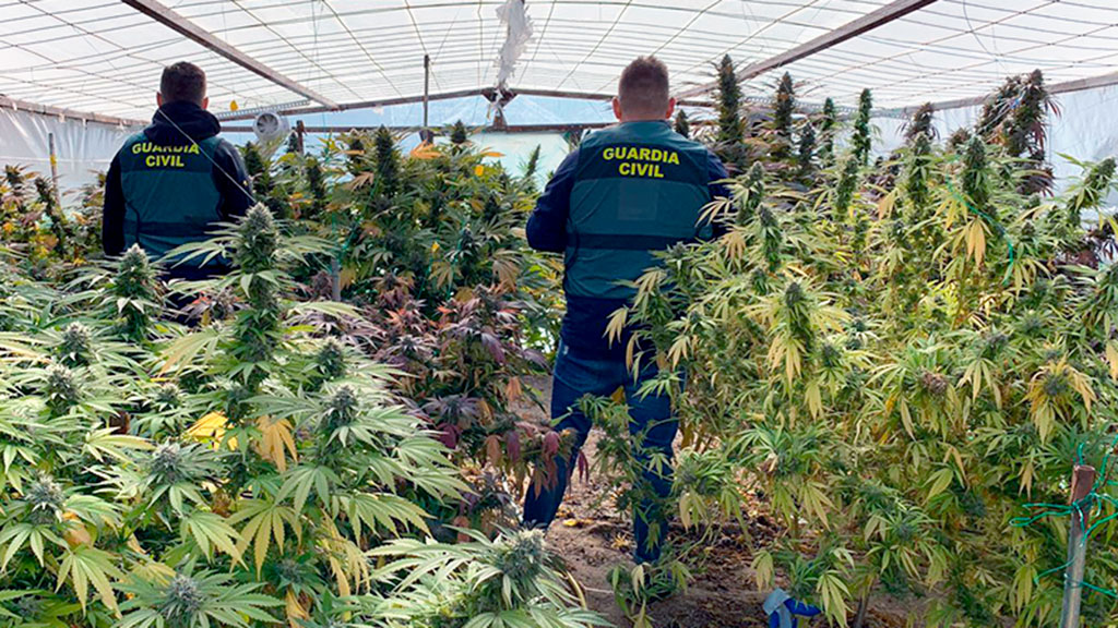 Operativo de la Guardia Civil contra el tráfico de drogas durante el año 2019. / E.A