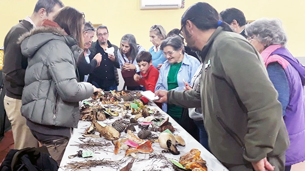 Los asistentes atienden las explicaciones de los expertos en la exposición que se organizó en el salón multiusos. / e. a.