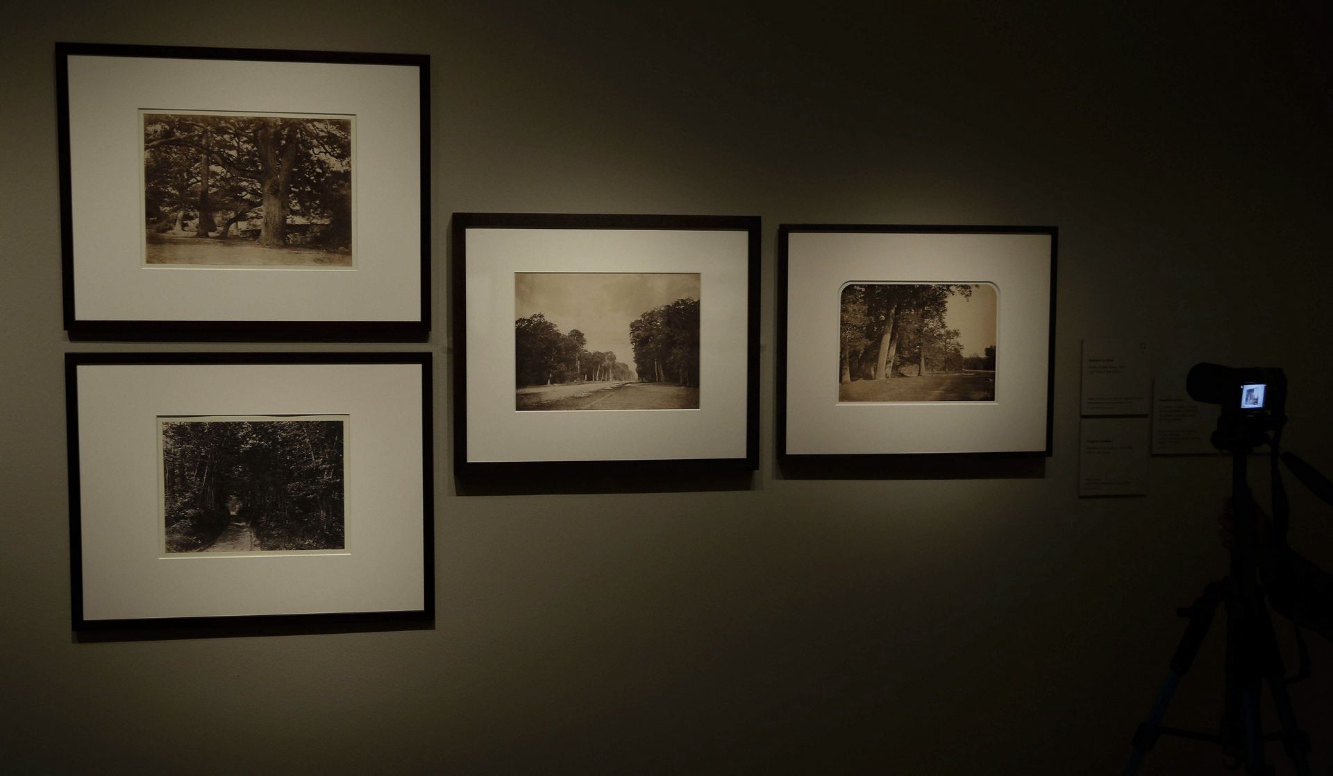 La fotografía logró dejar de estar asociada a una mera reproducción de la realidad con el paso de los años. / efe