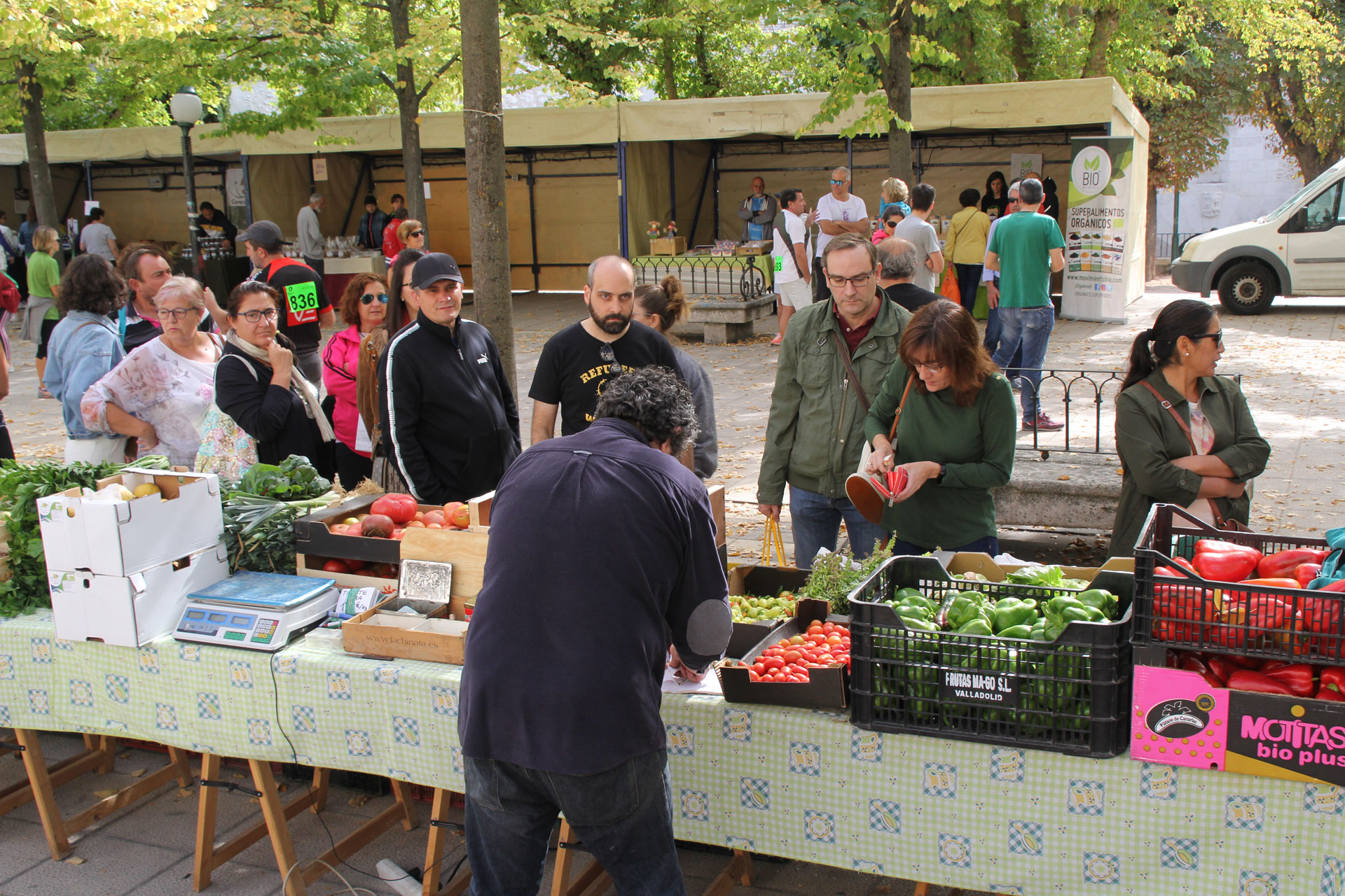 mercado ecologico 2019