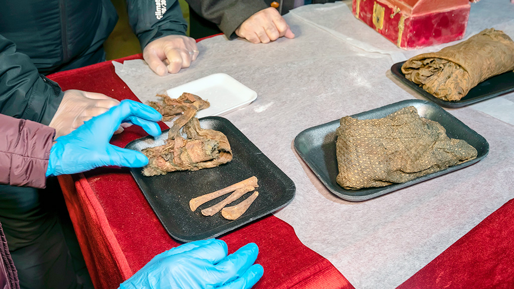 Restos óseos del Infante Don Pedro. / E.A