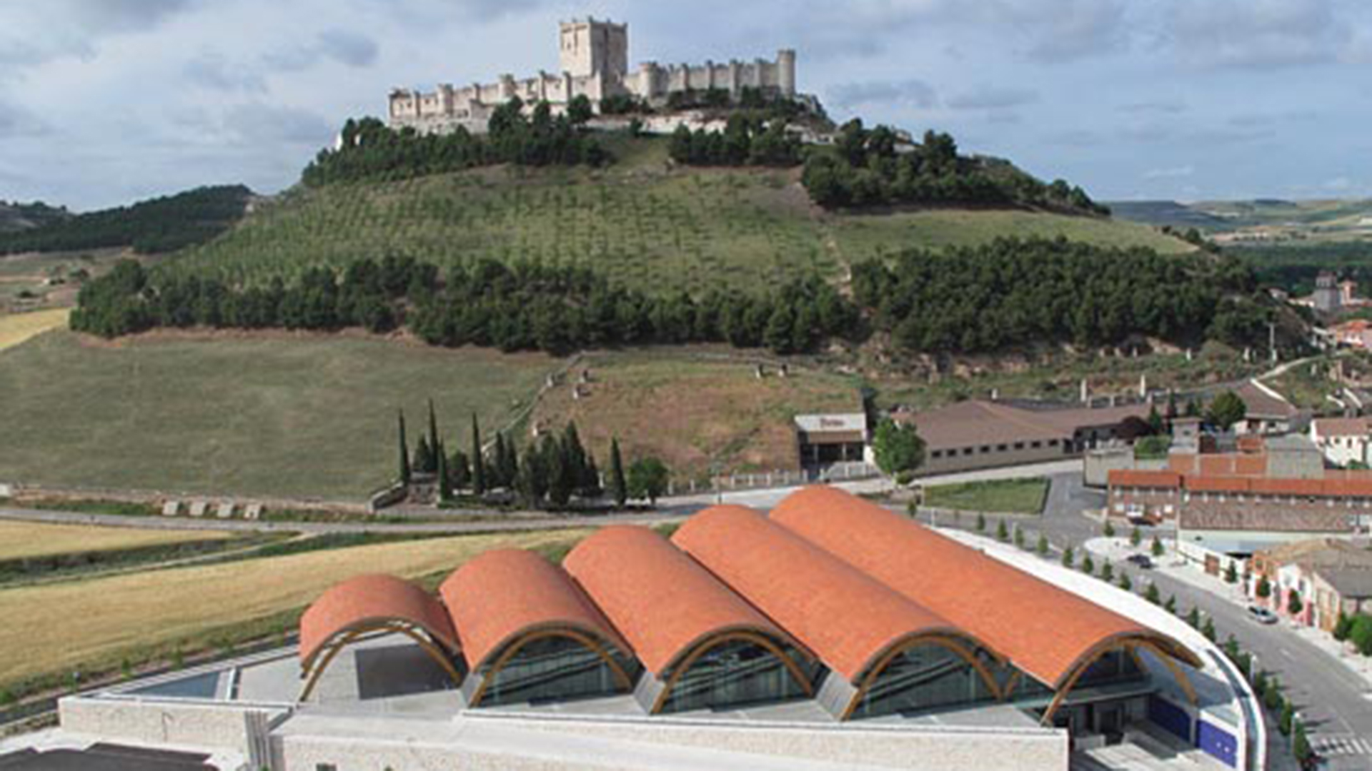 Vista de las bodegas Protos con el castillo de Peñafiel de fondo. / El Adelantado
