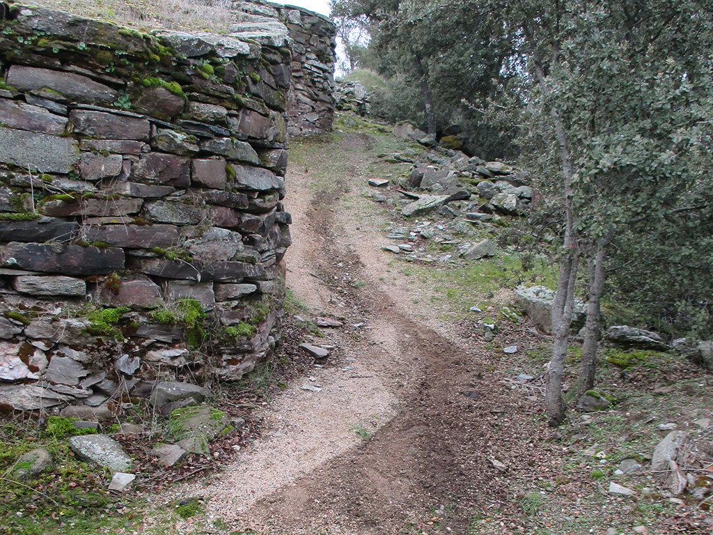 Los motoristas pasaron muy cerca de la muralla del Cerro. / el adelantado