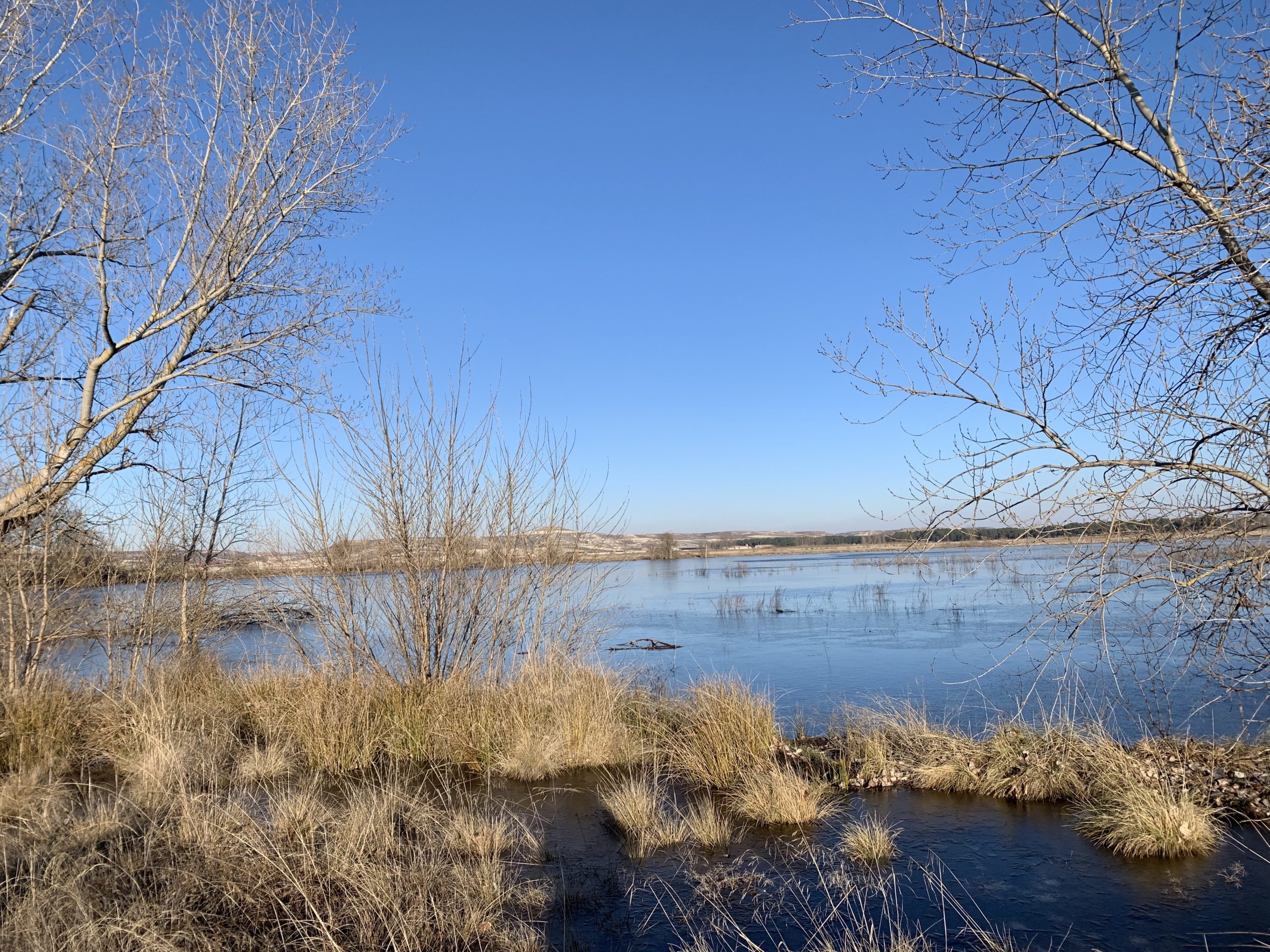 El Espadañal contará con un observatorio de aves. / C.N.