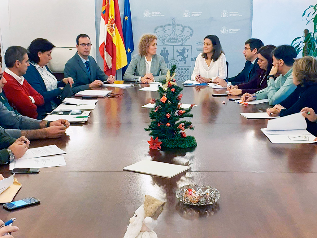 La subdelegada del Gobierno, Lirio Martín, presidió ayer la Comisión de Flujos Migratorios. / el adelantado