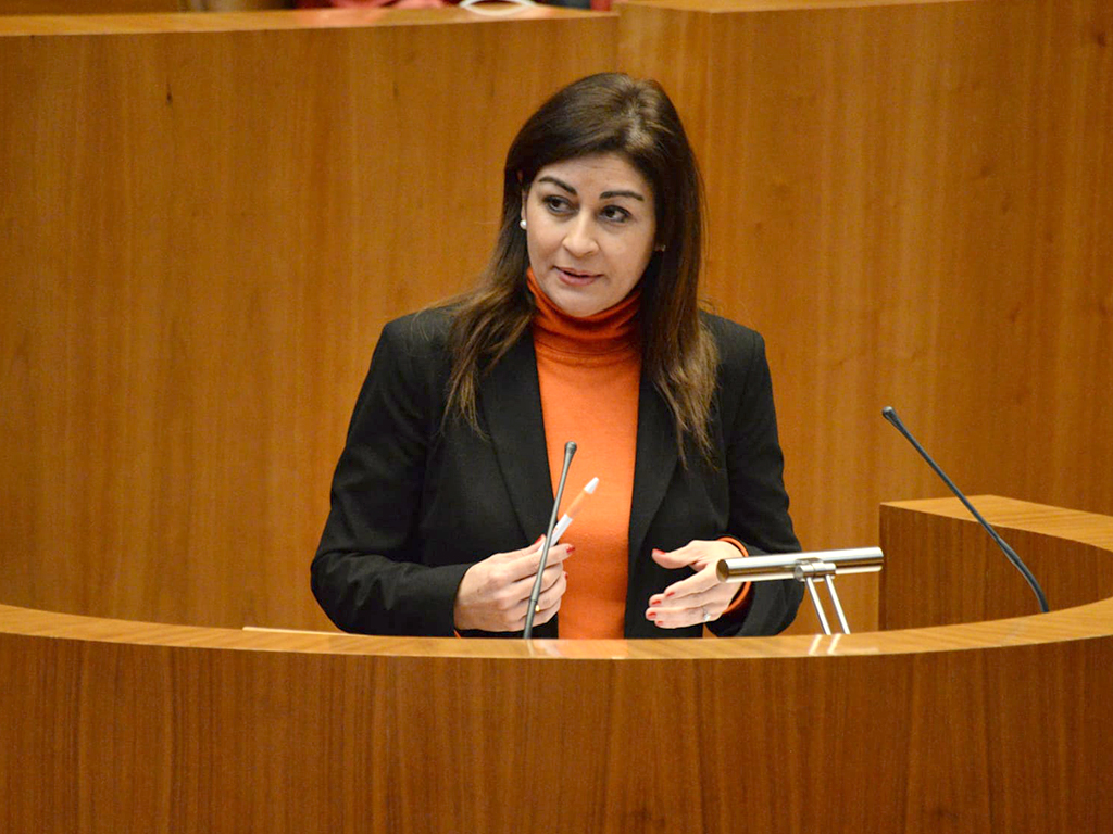 Cs apuesta por la ‘vía Arrimadas’ contra el gobierno ‘Frankenstein’ 1 La procuradora de Cs por Segovia Marta Sanz, en las Cortes. / EL ADELANTADO