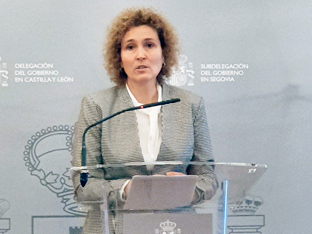 La subdelegada del Gobierno, Lirio Martín. / E. A.