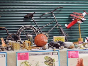 14 3kama CEIP Diego Colmenares Expo Escuela Publica KAM0332