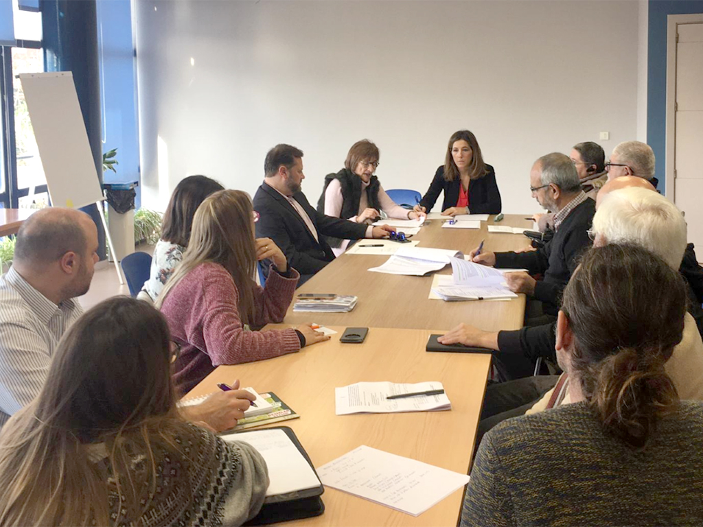 El Consejo sectorial de Accesibilidad hace balance de las últimas actuaciones del Ayuntamiento 1 La concejala Ana Peñalosa preside la sesión extraordinaria del Consejo. / El Adelantado