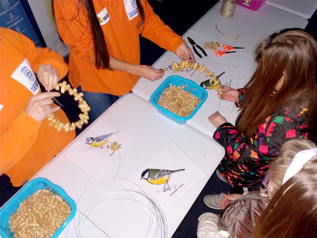 Un grupo de niños confecciona un collar-comedero con cacahuetes en el taller. / El Adelantado