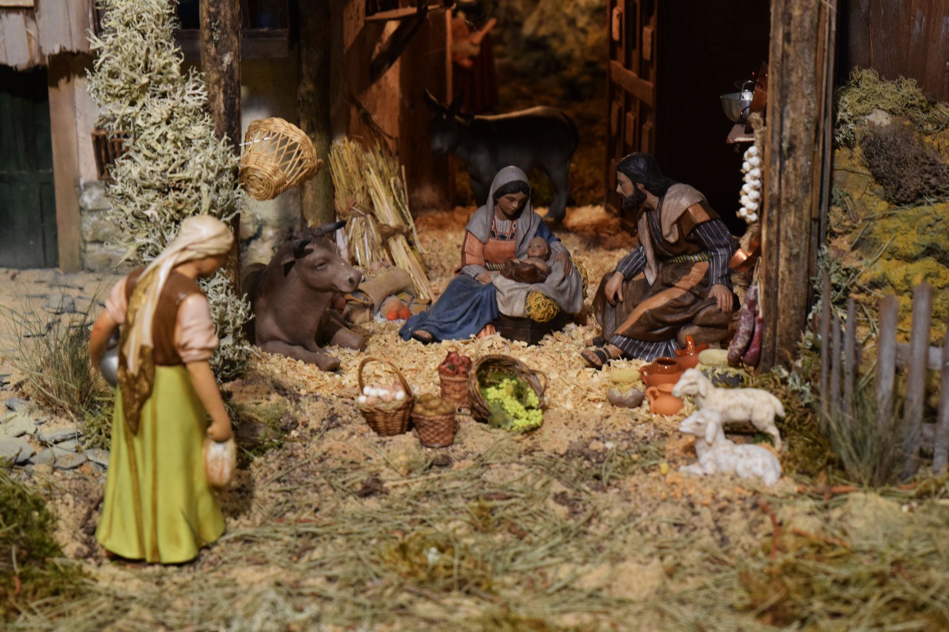 FOTOGRAFIA ROCIOPH 10