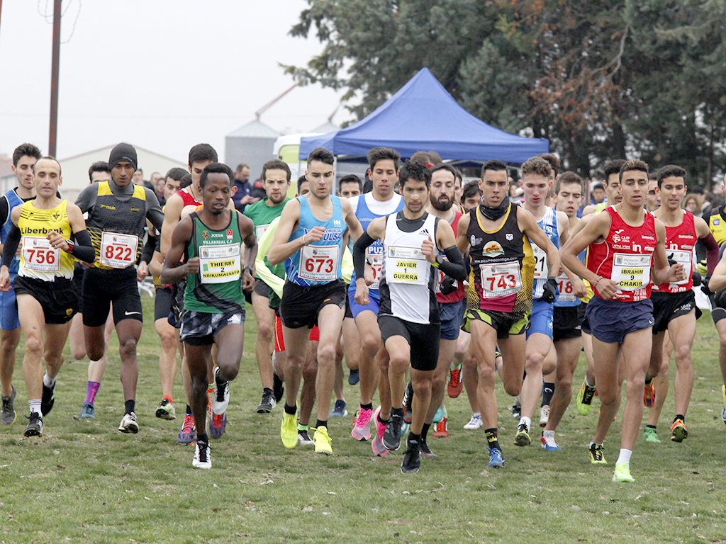 Javi Guerra, Thierry Ndikumwenayo o Albert Chemutai encabezan la primera línea de la prueba de élite masculina del cross de Cantimpalos de 2019. / NEREA LLORENTE