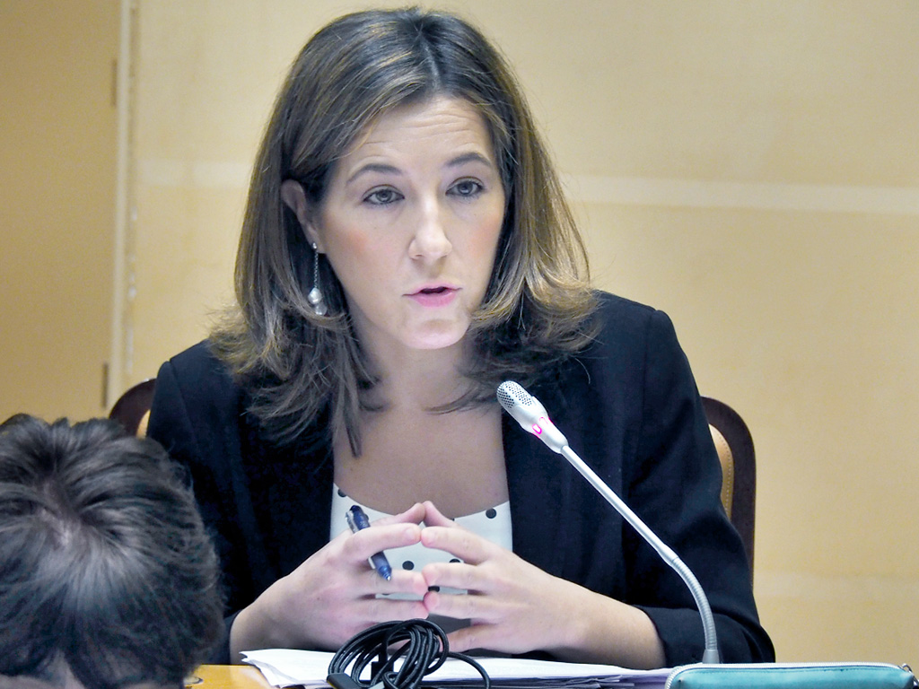 La concejala de Servicios Sociales, Ana Peñalosa, durante la defensa de la moción. / Kamarero