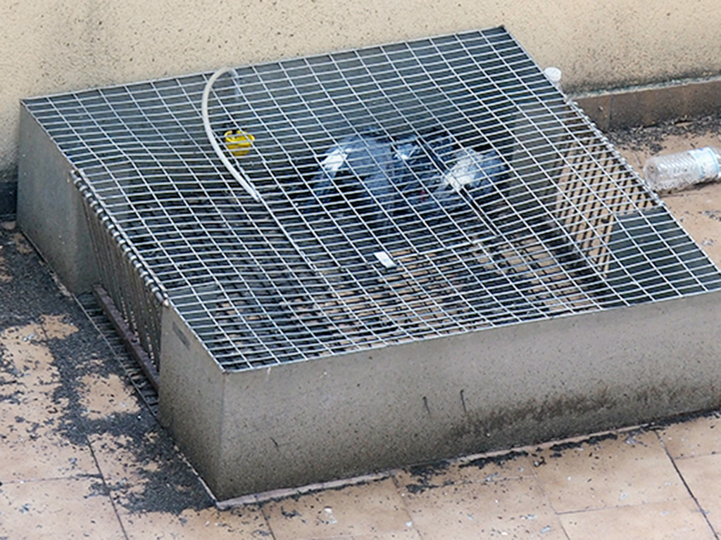 El control de palomas y estorninos en Segovia implica un coste anual de más de 18.000 euros 2 05 2ner palomas jaulas