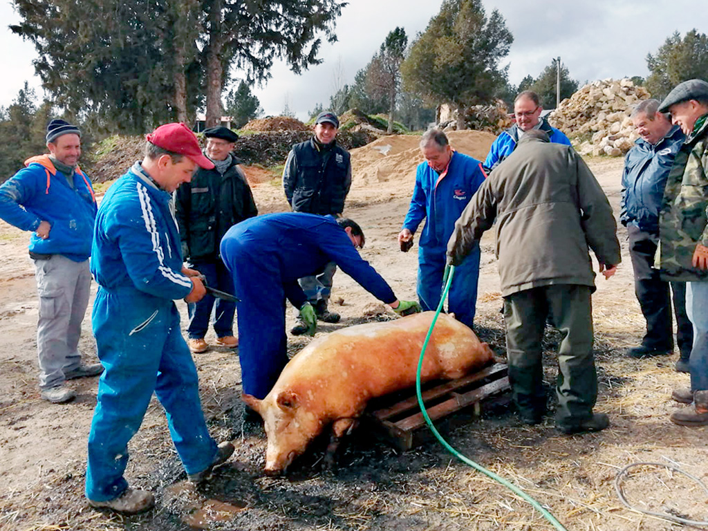 Los organizadores se encargaron de quemar el pelo del animal con bálago y centeno.  /E.A.