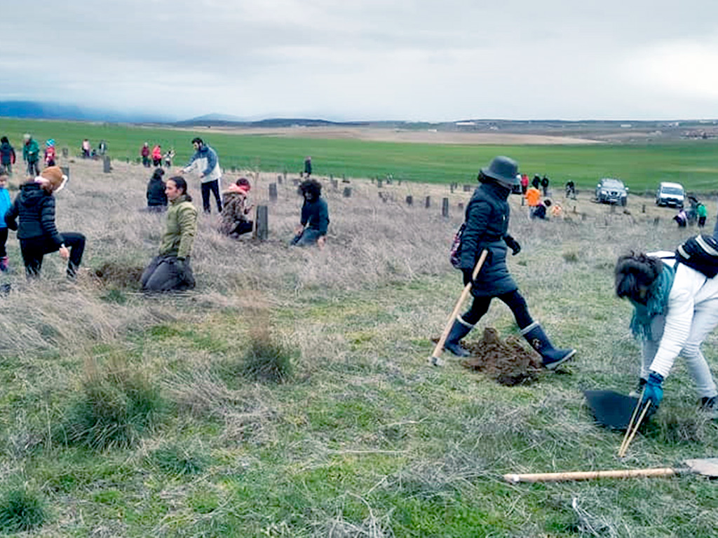 Numerosos vecinos participaron en las labores de forestación del Bosque Comunero.