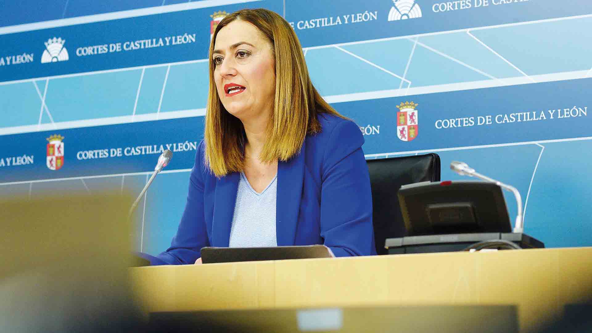 La vicesecretaria general del PSOE en las Cortes de Castilla y León, Virginia Barcones.