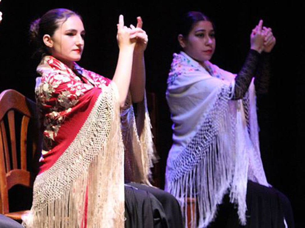 Las entradas para el espectáculo tendrán un precio general de dos euros. / E.A.