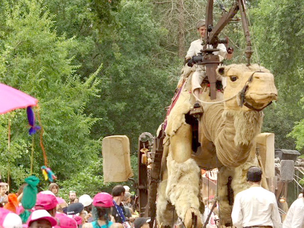 El camello Chamôh será uno de los atractivos de la Cabalgata 2020 en la capital segoviana. / E. A.