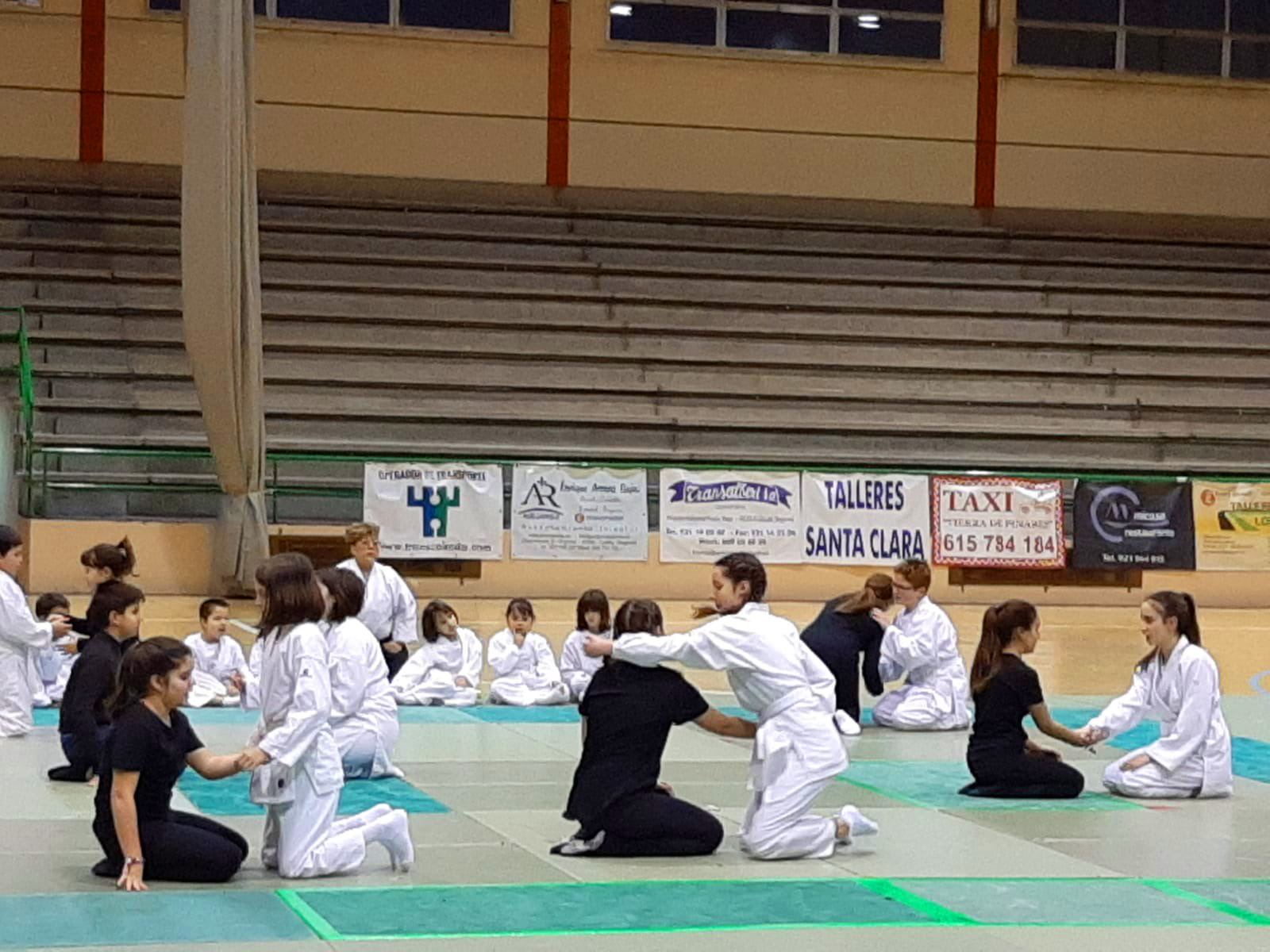 Parte de la exhibición de Aikido en el encuentro.