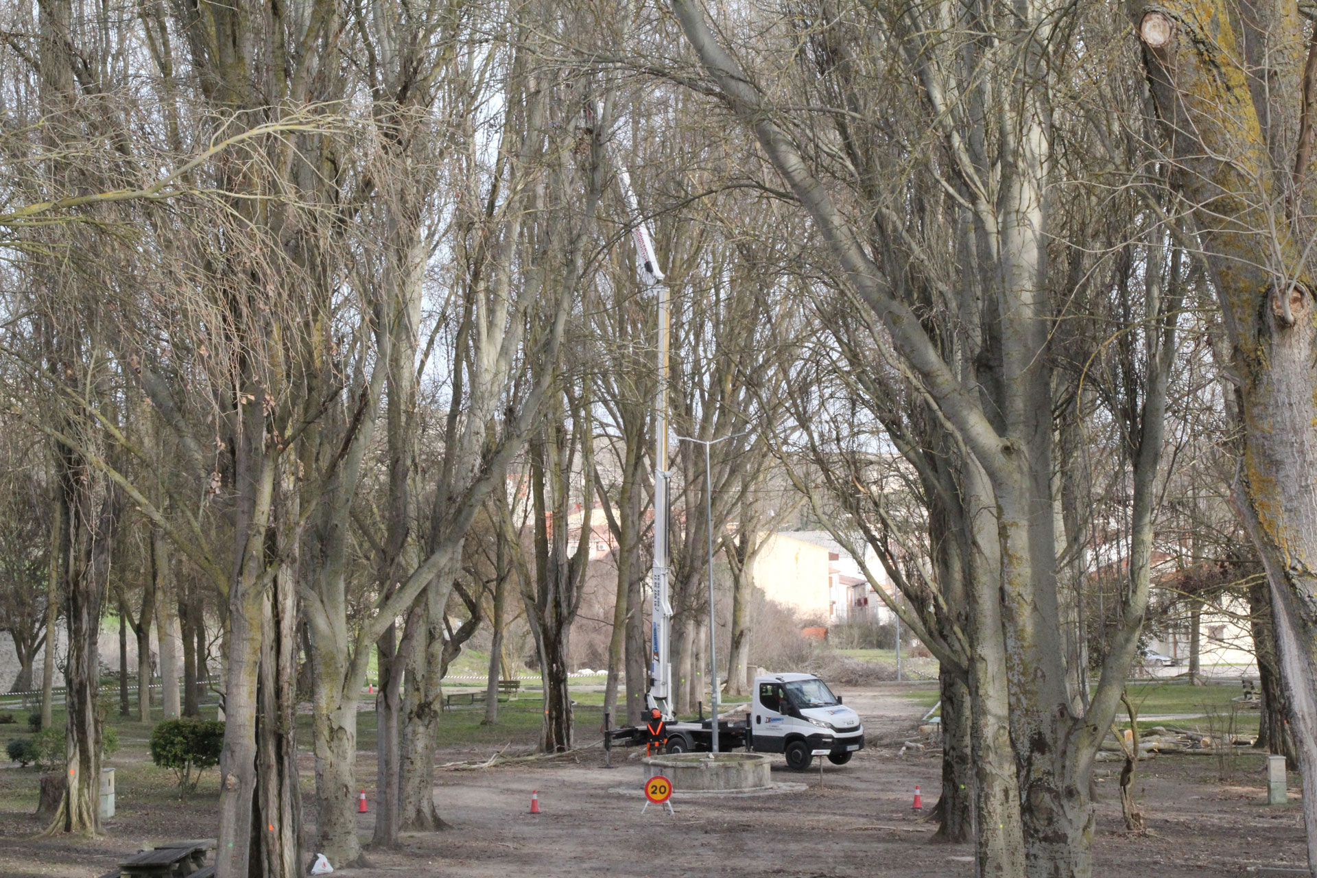 Trabajos de poda y tala en el Parque de la Huerta del Duque