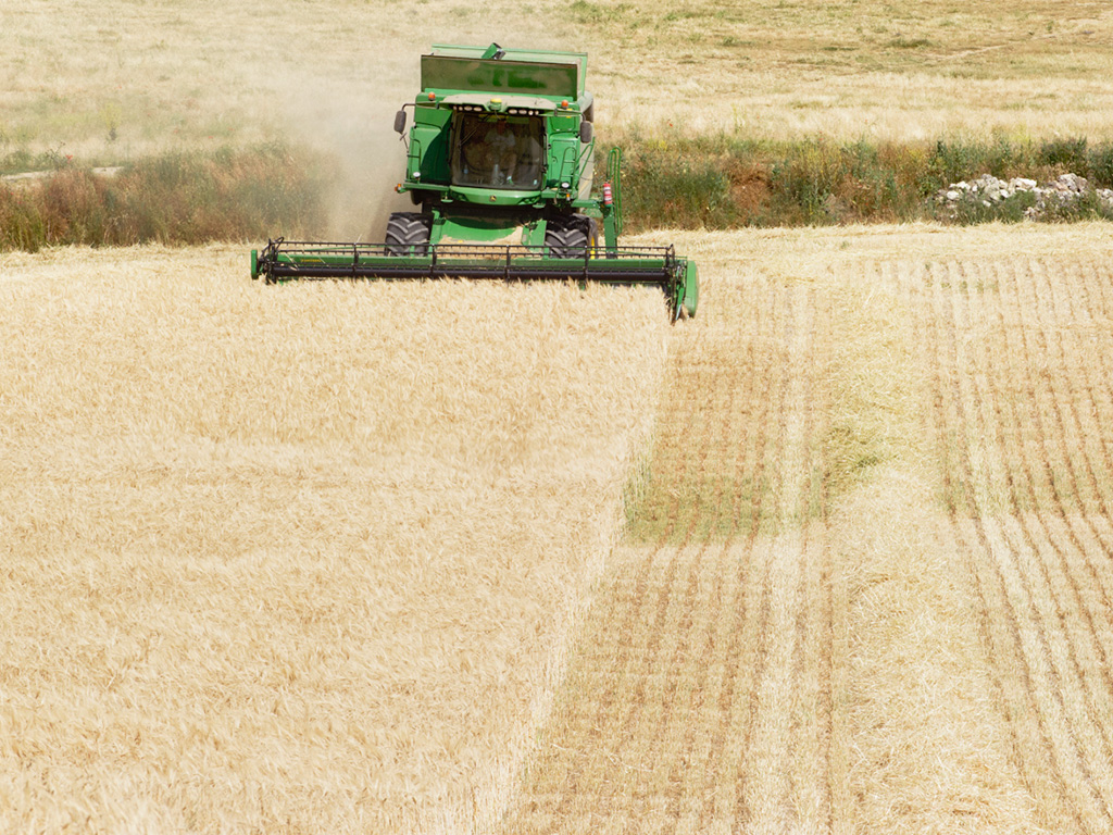 Una gran parte de agricultores y ganaderos de la provincia tienen en las ayudas de la PAC una importante parte de sus ingresos. / KAMARERO