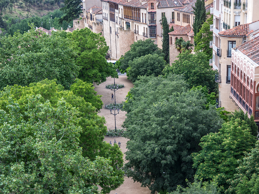 Vista aérea del arbolado del paseo del Salón. / Kamarero